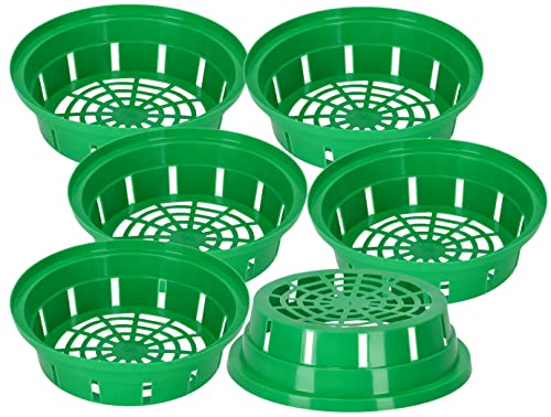 KOTARBAU 6er Set Zwiebelkörbe 200mm Pflanzkorb Blumenzwiebeln Pflanzschale Robuste Grün KOTARBAU 6er Set Zwiebelkörbe 200mm Pflanzkorb Blumenzwiebeln Pflanzschale Robuste Grün von KOTARBAU