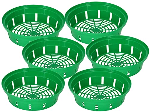 KOTARBAU 6er Set Zwiebelkörbe 260mm Pflanzkorb Blumenzwiebeln Pflanzschale Robuste Grün KOTARBAU 6er Set Zwiebelkörbe 260mm Pflanzkorb Blumenzwiebeln Pflanzschale Robuste Grün von KOTARBAU