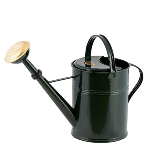 PLINT 5L Watering Can - Modern Style Watering Pot for Indoor and Outdoor House Plants - Coloured Galvanised Powder Coated Steel - Metal Design with Narrow Spout and High Handle - (Green) von Plint