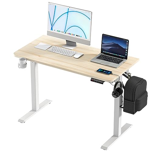 kowo Elektrischer Höhenverstellbarer Schreibtisch mit 1,2m Tischplatte, Einstellbarer Büroschreibtisch mit Getränkehalter und Kopfhörerhalter - Holz von kowo