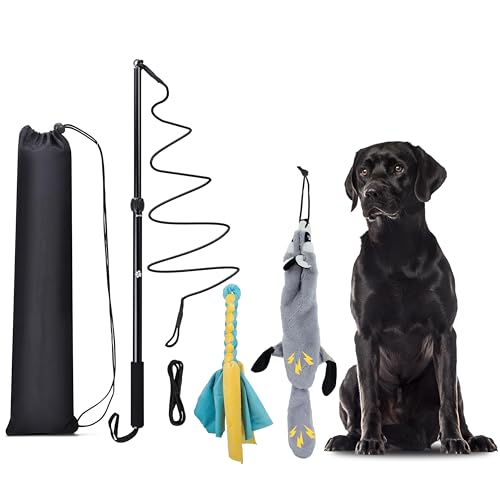 KOXXUD Reizangel Hunde, Profi Reizangel für Kleine, Mittelgroßer, Große Hunde, Martin Rütter für Ultimativen Spielspaß & Körperliche Auslastung (Seilstreifen + Biber) KOXXUD Reizangel Hunde, Profi Reizangel für Kleine, Mittelgroßer, Große Hunde, Martin Rütter für Ultimativen Spielspaß & Körperliche Auslastung (Seilstreifen + Biber) von KOXXUD