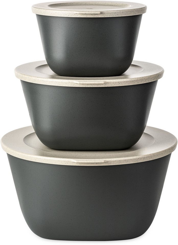 KOZIOL Aufbewahrungsschüssel CONNECT BOX SET STOCKHOLM, Kunststoff, (3-tlg., 1 Box 1 L, 1 Box 2 L, 1 Box 4 L), (1 + 2 + 4 L), melaminfrei, CO² neutrale Produktion von KOZIOL