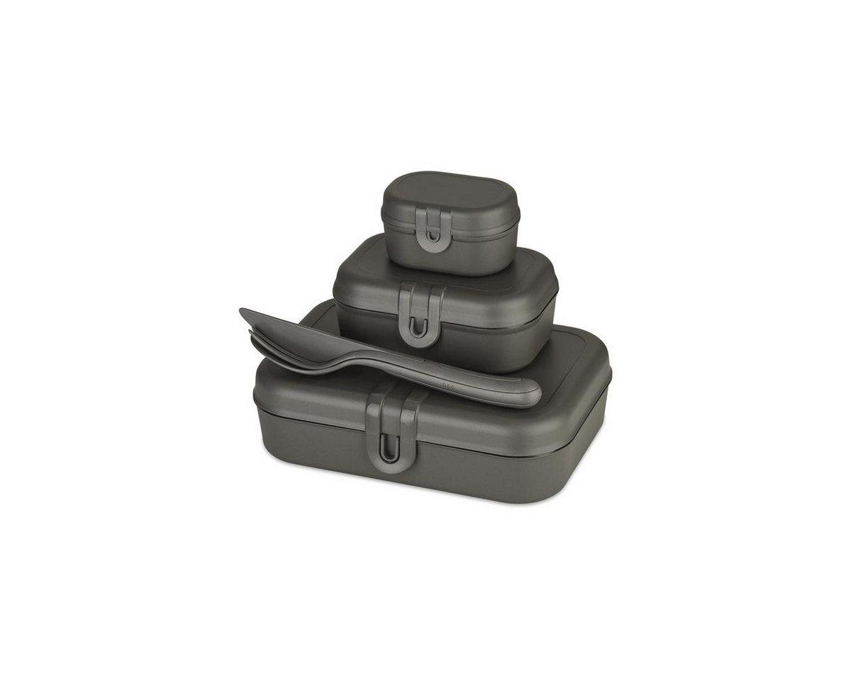 KOZIOL Lunchbox koziol Lunchbox/Besteckset PASCAL READY 7168701 ash grey von KOZIOL