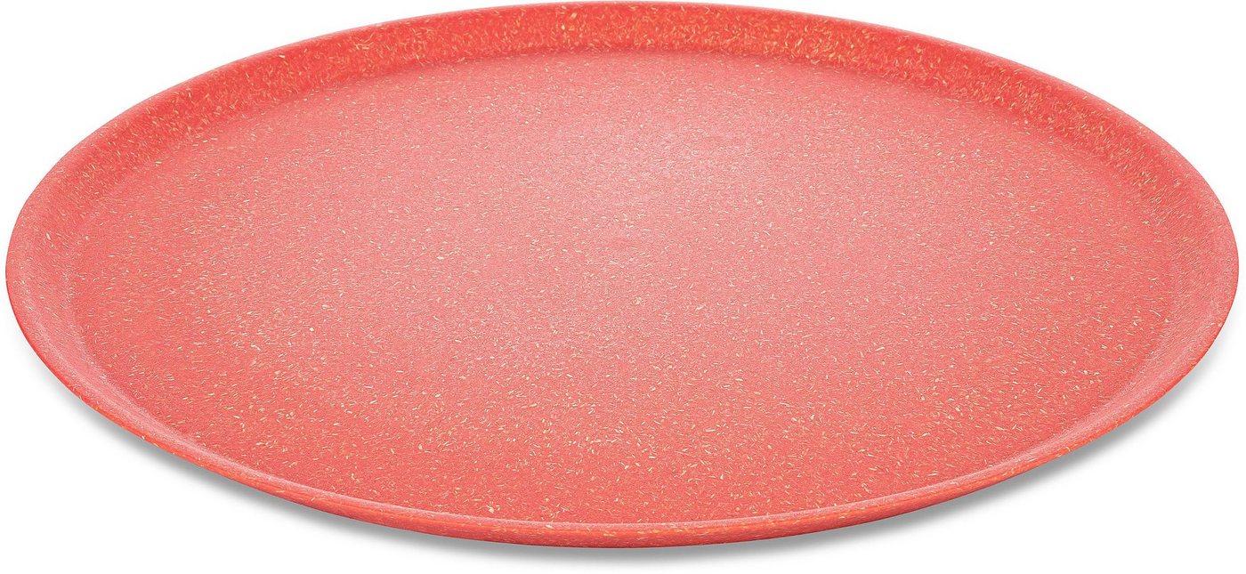 KOZIOL Speiseteller CONNECT PLATE, (4 St), biozirkuläremKunststoff+FSCHolz,spülmaschinengeeignet,melaminfrei,25cm von KOZIOL