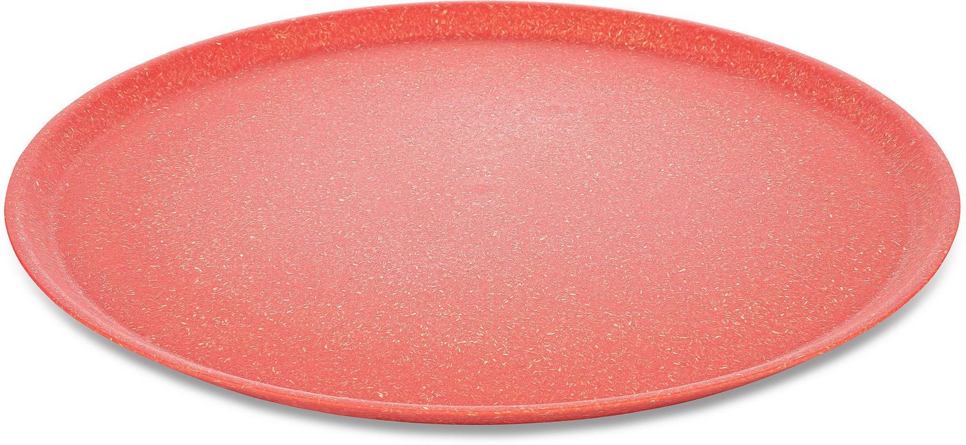KOZIOL Speiseteller CONNECT PLATE Ø 25,5 cm, aus biozirkulärem Material, (4 St), Spülmaschinengeeignet und melaminfrei, Made in Germany von KOZIOL