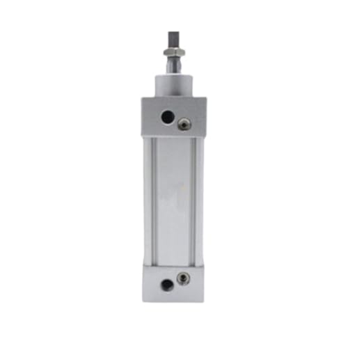 ISO-Zylinder for CP95SDB CP96SB63-25 50 80 100 125 160 200XB6(CP96SB63-225) von KPCLLTQXG