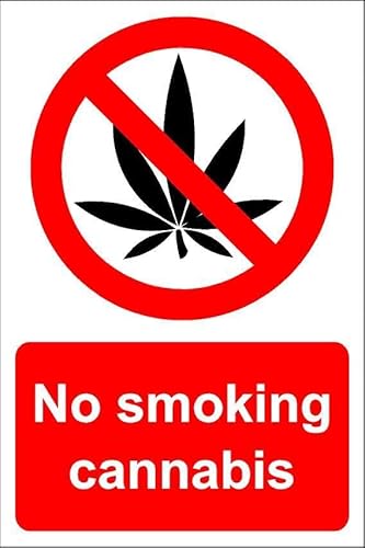 Schild mit Aufschrift "No smoking cannabis" – 1 mm flexibles Kunststoffschild (200 mm x 150 mm) von KPCM Display ltd