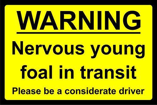 Warnschild "Nervous young foal in transit horse safety sign - Selbstklebender Aufkleber, 200 mm x 150 mm von KPCM Display ltd