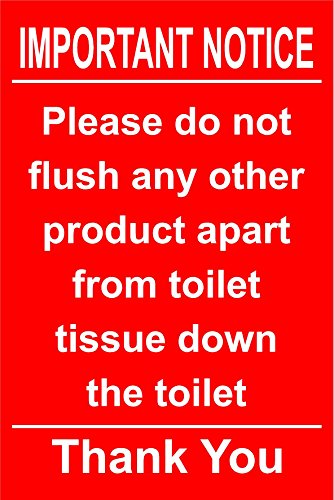 Hygiene-Hinweisschild, Aufschrift: Important Notice - Please do not flush any other product apart from toilet tissue down the toilet - Thank you (zu Dt. Wichtiger Hinweis: Bitte spülen Sie keine anderen Artikel als Klopapier runter - Vielen Dank), selbstklebend, 100 x 150 mm von KPCM Display ltd