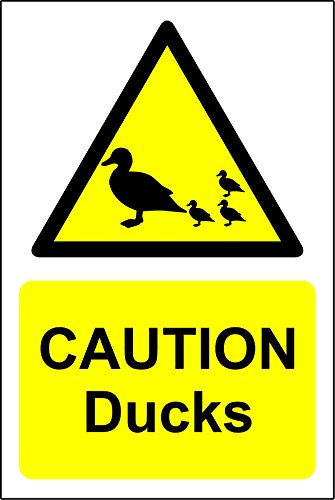 Schild mit Aufschrift „Caution Ducks“, aus starrem PVC, wasserdicht von KPCM Display ltd