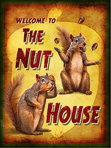 Welcome to the Nut House/Bar, Retro Schild – 1,2 mm starrer Kunststoff 300 mm x 200 mm x 200 mm von KPCM Display ltd