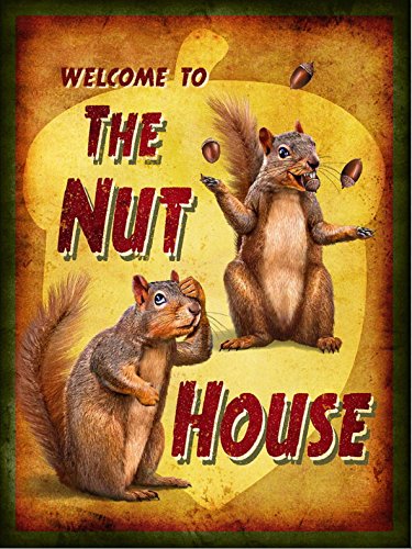 Schild mit englischer Aufschrift „Welcome To The Nut House“ (Herzlich Willkommen in der Irrenanstalt), Retroschild, 1,2 mm starker, starrer Kunststoff, 300 x 200 mm von KPCM Display ltd