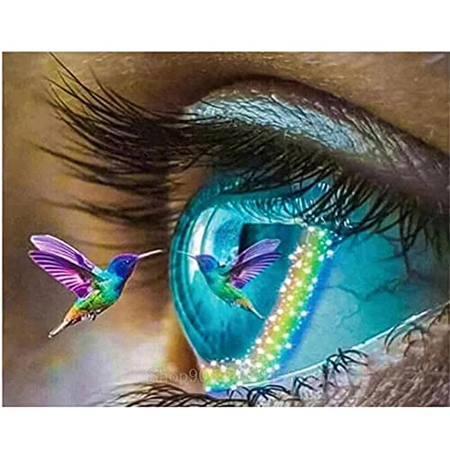 DIY 5D Diamond Painting Full Drill Set Auge-Kolibri 5D Diamant Painting Bilder Nach Zahlen Kits, Bohren voll kristall Strass Stickerei kreuzstich Kunst Handwerk Hause wanddekoration 50X70CM von KPENG