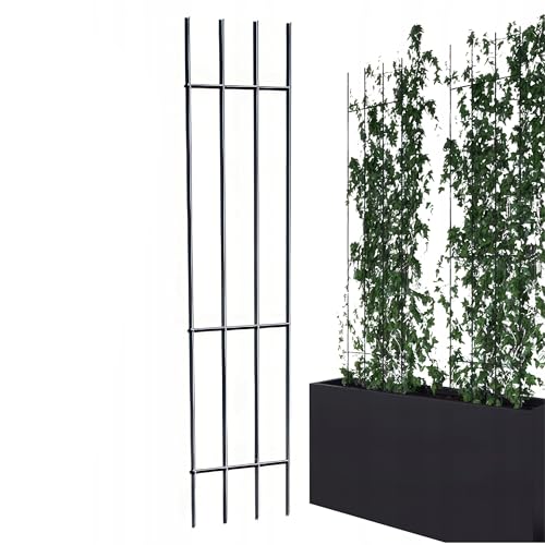 Kapaga - Rankgitter - Rankhilfe Garten - Staudenhalter - Blumenhalter - Rankengewächs Pflanzenstütze - Blumenstütze - Staudenstütze - Rankhilfe Strauchhalter (Schwarz, 150 cm) von KPGA KAPAGA HOME & GARDEN