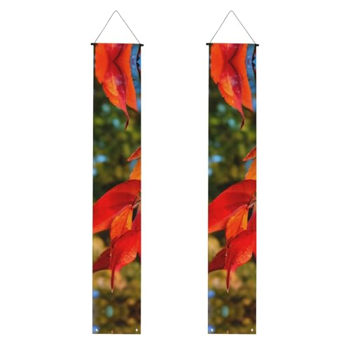 Herbstrote Blätter und Früchte, praktische Aufbewahrung, Banner, Hintergrunddesign, speziell für Feiern Herbstrote Blätter und Früchte, praktische Aufbewahrung, Banner, Hintergrunddesign, speziell für Feiern von KPXXAQT