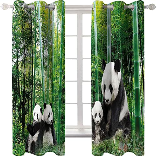 KQDMYT Verdunkelungsvorhang Blickdichte Gardinen Mit Ösen Grüner Bambus-Wald-Panda Geräuschreduzierung Lichtundurchlässige Vorhang Für Schlafzimmer Sonnenschutz Thermovorhang 170x200cm 2Er Set von KQDMYT