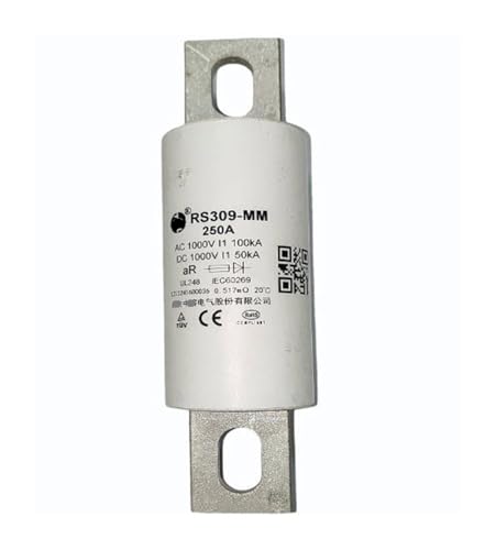 Sicherung RS309-MM-15A RS309-MM-30A RS309-MM-35A RS309-MM-50A RS309-MM-60A RS309-MM-70A RS309-MM-80A RS309-MM-90A RS309-MM-100A(RS309-MM-100A) von KQRGWWPC