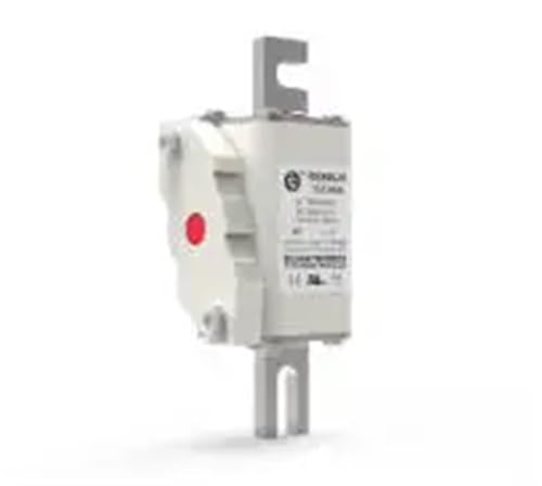 Sicherung: RS306-01-T5Z-32A-1250V RS306-01-T5Z-63A-1250V RS306-01-T5Z-125A-1250V RS306-01-T5Z-250A-1250V RS306-01-T5Z-315A-1250V(RS306-01-T5Z-125A) von KQRGWWPC