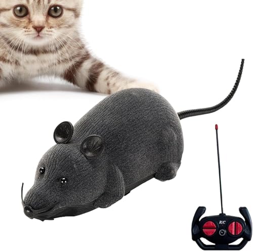 KQWVZ Maus Mit Fernbedienung, Kabelloses Elektronisches Ferngesteuertes Maus-Haustierspielzeug von KQWVZ
