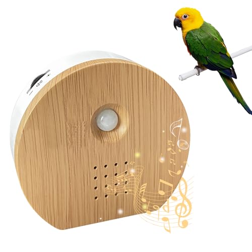 KQWVZ Vogelgezwitscher Box, Vogelgezwitscher Bewegungsmelder, Naturgeräusche Box mit Wandhalterung Soundbox,Naturgeräusche Box Mit Bewegungsmelder,Naturgeräuschebox Vogel Gesang Vogelgesang&Waldquelle von KQWVZ