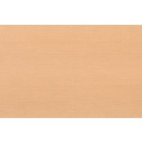 Holz Top für Werkstattwagen BT700 Holz Top für Werkstattwagen BT700 von KRAFTWERK