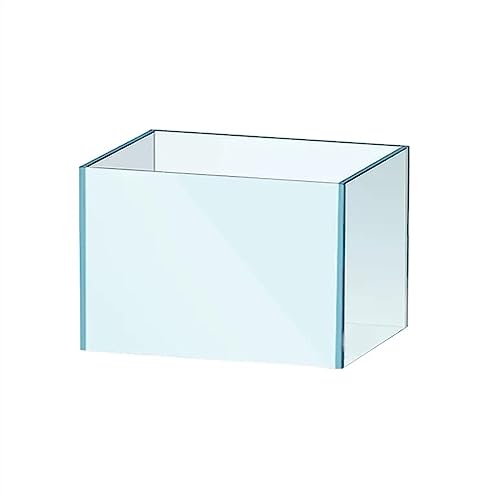 KRQDBCZ Fischgläser Super Weiß Aquarium Desktop Wohnzimmer Ökologisches Aquarium Kleines Goldfischfischbecken Großes transparentes Glas Aquarium Home Office Aquarien (Größe : 006) (006) von KRQDBCZ