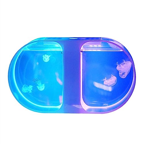 KRQDBCZ Fish Bowl Aquarium Bilaterales Quallenaquarium Desktop Aquarium Aquarium Kleines Quallenaquarium Zieraquarium Büro Aquarium Home Decoration Aquarien KRQDBCZ Fish Bowl Aquarium Bilaterales Quallenaquarium Desktop Aquarium Aquarium Kleines Quallenaquarium Zieraquarium Büro Aquarium Home Decoration Aquarien von KRQDBCZ