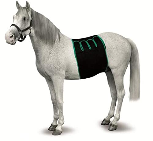 KRUUSE Res Equine Recovery Bandage, Größe L KRUUSE Res Equine Recovery Bandage, Größe L von KRUUSE RES