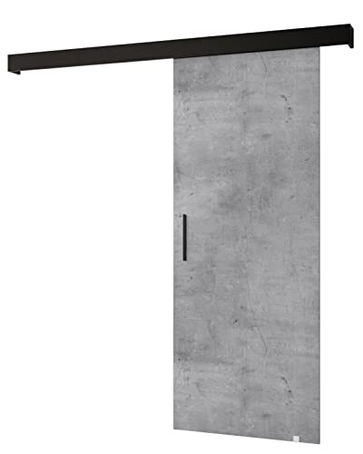 MEBLE KRYSPOL Salwador 1 Schiebetürsystem mit Schienenabdeckung - Wandschiebetüren für Innenräume - Loftartige Einbautüren - Solide Konstruktion - 90 x 204 cm - Beton von MEBLE KRYSPOL