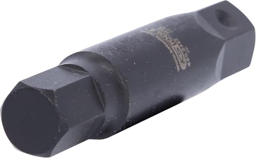 KS Tools 450.0423 Kraft-Biteinsatz für Innensechskant-Schrauben L=107mm, 19mm von KS Tools