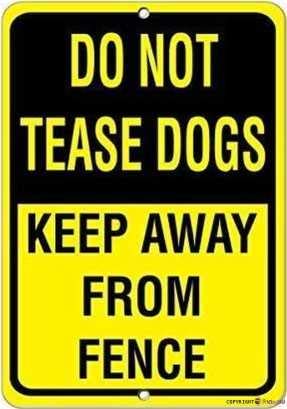 Straßenschild Hinweisschild Warnschild "Do Not Tease Dogs Keep Away From Fence Pet Animal for Wall Art Outdoor Indoor 30,5 x 20,3 cm New Aluminium Metal Tin Sign von KSFEITING
