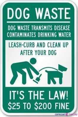 Straßenschild Warnschild grün Lustiges Dog Walker To Pick Up Their Dog's Poop Dog Waste Trans Mits Disease Contaminates Metall-Blechschild Wanddekor Warnschilder für drinnen und draußen Schild 20,3 x von KSFEITING