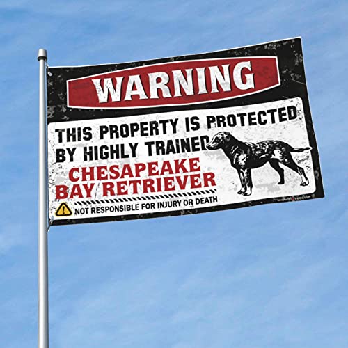 Bierdekorationen für die Männerhöhle, Warnung, dass dieses Grundstück durch eine gut ausgebildete Chesapeake Bay Retriever-Flagge geschützt wird, für den Außenbereich, Flaggen für Schlafzimmer (60 x von KSXS