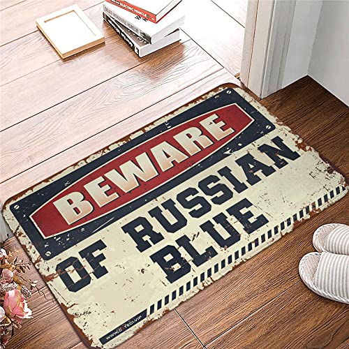 KSXS Fußmatten für den Außenbereich, Vorsicht vor russischem blauem Teppich, kleine Outdoor-Matte "Welcome-Ish" (40 x 60 cm) von KSXS