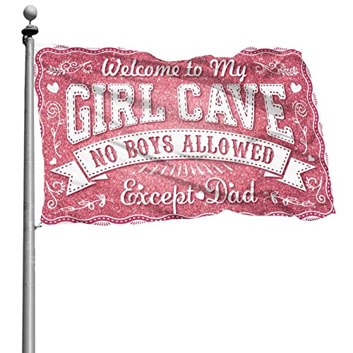 Schlafsaalflaggen für Jungs "No Boys allowed", Schild für Mädchen, Flagge für Zimmer, Mädchen, Herbst-Hof-Dekoration (120 x 180 cm) von KSXS
