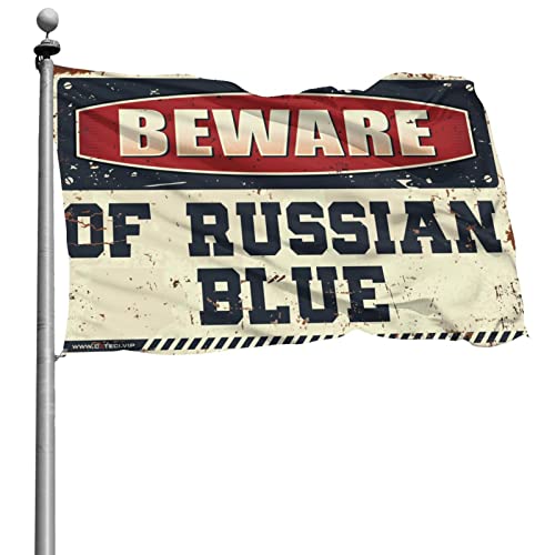 Schlafzimmer-Türdekoration, Vorsicht vor russischer blauer Flagge, Veranda-Flagge, Zimmertür-Dekoration (60 x 90 cm) von KSXS
