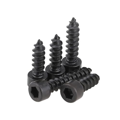 KSeSii 10–50 Stück M2 M2.6 M3 M4 M5 M6 Innensechskant-Blechschraube mit Innensechskant, Güteklasse 8.8, Schwarz/Nickel-Zink-Kopfschraube for Lautsprecher(Black zinc,25MM_M6 10PCS) von KSeSii