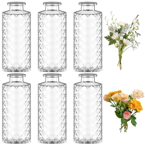6 Stück Mini Glasvasen Vintage Kleine Vasen Stark Mini Vasen 13cm Hoch Kleine Väschen Blumenvasen Dekoflaschen für Tischdeko Mittelstücke Hochzeitsdekorationen Zuhause Geburtstage Feste von KTCINA