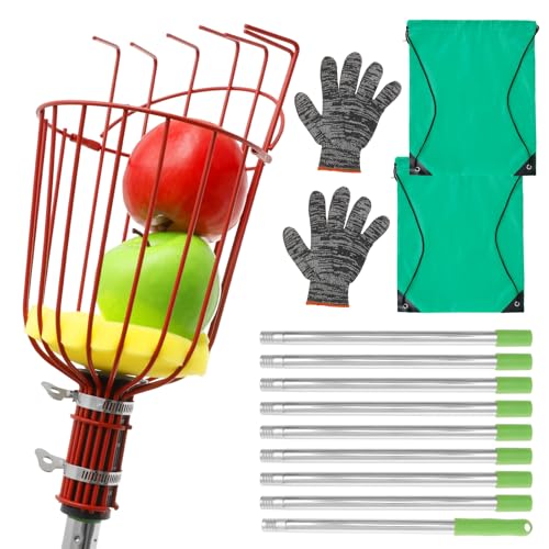 KTCINA Obstpflücker mit Teleskopstiel 4/5m mit Obstkorb 35 x 14 cm Apfelpflücker Verstellbares Läng Großer Rotierender Kirschenpflücker Ultra Leicht Stabil Platzsparend Fruchtpicker Pflückhilfe (4m) von KTCINA