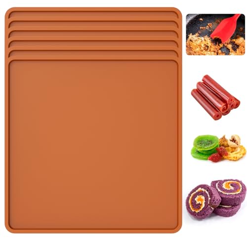 Silikon Dehydrator Blätter Silikon Backmatte Mit Rand 35 X 35 Cm Silikon Dehydrator Blätter Antihaft Dörrfolie Silikon Backmatte Backofen Für Obst Fleisch Gemüse (6 Stück) von KTCINA