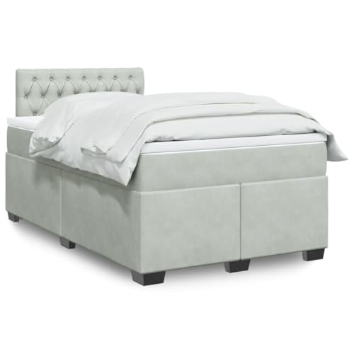 KTHLBRH Bettgestell Familienbett Doppelbett Schlafzimmer möbel Boxspringbett mit Matratze Hellgrau 120x200 cm Samt von KTHLBRH