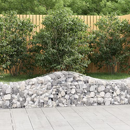 KTHLBRH Gabionen mit Hochbogen pflanzenkübel pflanzentopf for Terrasse Außen 18 STK. 200x50x40/60 cm Verzinktes Eisen KTHLBRH Gabionen mit Hochbogen pflanzenkübel pflanzentopf for Terrasse Außen 18 STK. 200x50x40/60 cm Verzinktes Eisen von KTHLBRH