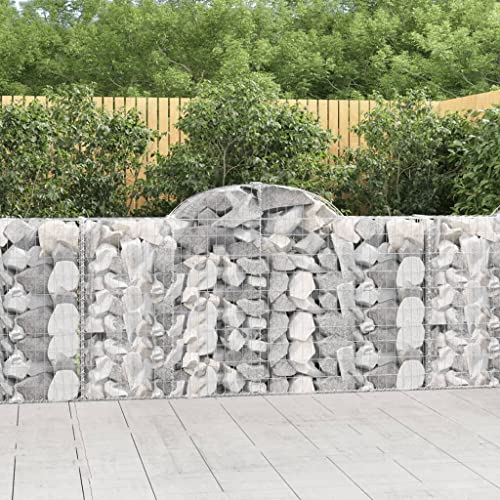 KTHLBRH Gabionen mit Hochbogen pflanzentopf pflanzkübel for Garten Terrasse 40Stk. 200x30x100/120cm Verzinktes Eisen von KTHLBRH