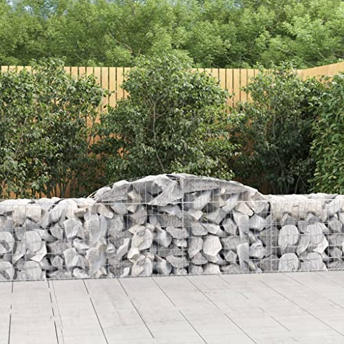 KTHLBRH Gabionen mit Hochbogen pflanzentopf pflanztopf Outdoor for Terrasse Garten 20 STK. 300x50x60/80 cm Verzinktes Eisen KTHLBRH Gabionen mit Hochbogen pflanzentopf pflanztopf Outdoor for Terrasse Garten 20 STK. 300x50x60/80 cm Verzinktes Eisen von KTHLBRH