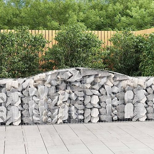 KTHLBRH Gabionen mit Hochbogen pflanzentopf pflanztopf Outdoor for Terrasse Innen 25 STK. 400x50x80/100cm Verzinktes Eisen von KTHLBRH