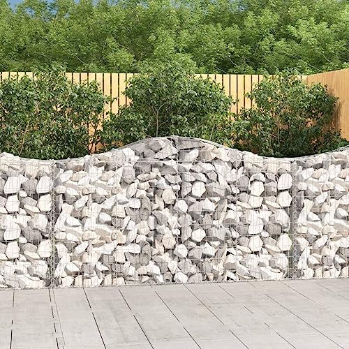 KTHLBRH Gabionen mit Hochbogen pflanzkübel pflanztopf Outdoor for Außen Garten 14Stk. 200x30x100/120cm Verzinktes Eisen KTHLBRH Gabionen mit Hochbogen pflanzkübel pflanztopf Outdoor for Außen Garten 14Stk. 200x30x100/120cm Verzinktes Eisen von KTHLBRH