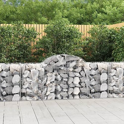 KTHLBRH Gabionen mit Hochbogen pflanztopf Outdoor pflanzentopf for Außen Innen 12 STK. 200x50x80/100cm Verzinktes Eisen KTHLBRH Gabionen mit Hochbogen pflanztopf Outdoor pflanzentopf for Außen Innen 12 STK. 200x50x80/100cm Verzinktes Eisen von KTHLBRH