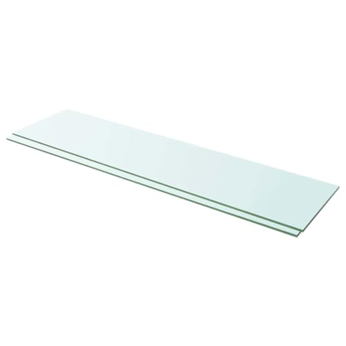 KTHLBRH Regalböden 2 STK. Glas Transparent Hängeregal Bücherregal für Schlafzimmer Küche 100x25 cm von KTHLBRH