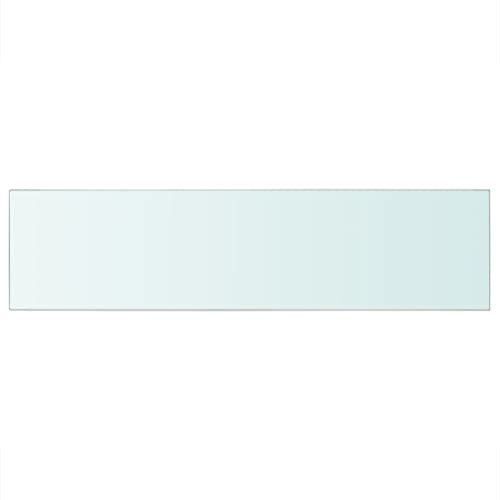 KTHLBRH Regale für Wände Schweberegale Regale Wand Regalbrett - Regalboden Glas Transparent 100x25 cm für Büro Wohnzimmer Balkon Küchen von KTHLBRH