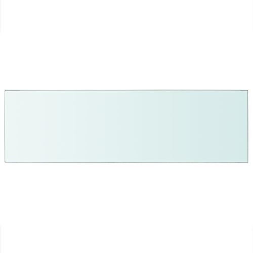 KTHLBRH Regale für Wände Schweberegale Regale Wand Regalbrett - Regalboden Glas Transparent 80 cm x 25 cm für Büro Wohnzimmer Balkon Küchen von KTHLBRH